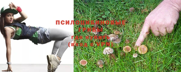 твердый Алексеевка