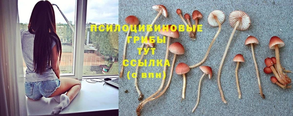 гидра Алзамай