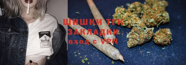МДПВ Билибино